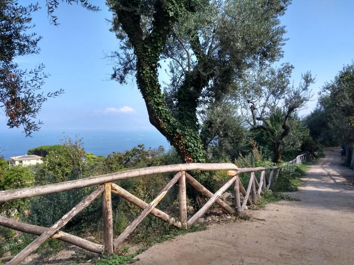 Anna Belle Elegant Agriresort Sorrento Exterior foto
